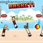 Basket Random